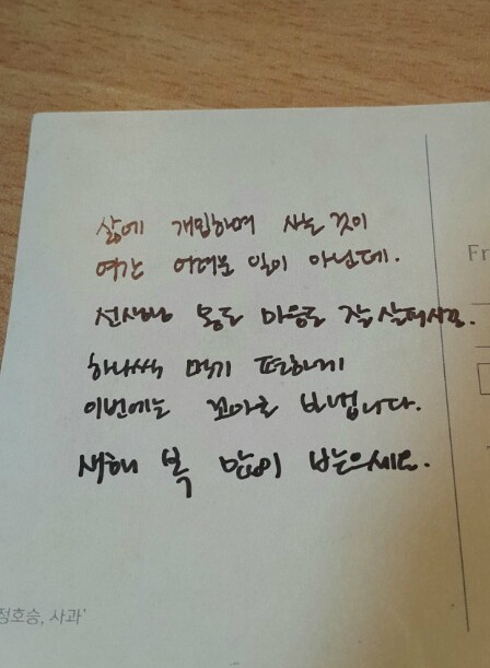 도영1.jpg
