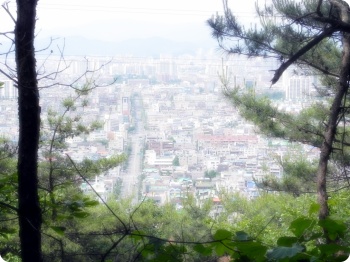 6월등산2.jpg