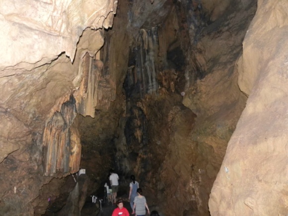 DSCN6533.jpg