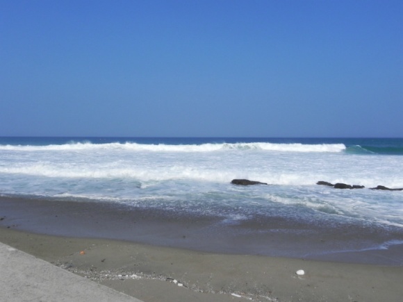 DSCN6536.jpg