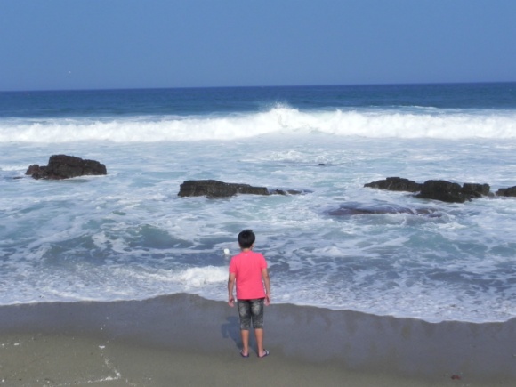 DSCN6539.jpg
