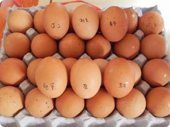 7월마을인사 달성공원 039.jpg