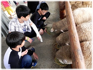 DSCN3035.jpg