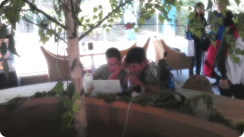 IMAG0217.jpg