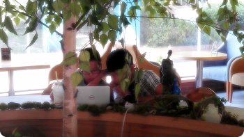 IMAG0218.jpg