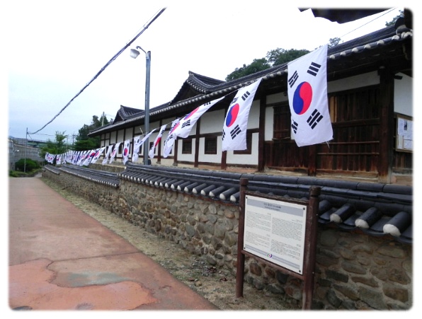 DSCN7132.jpg