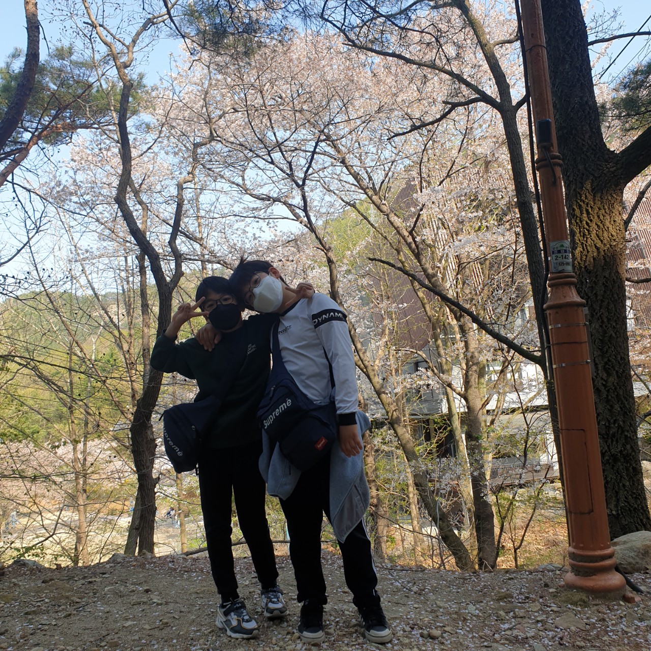 앞산등산0409 (6).jpg