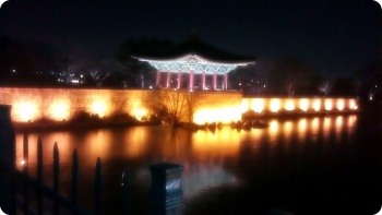 IMAG0362.jpg