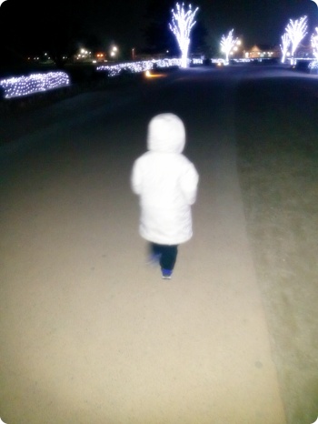 IMG258.jpg