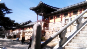 IMAG0398.jpg