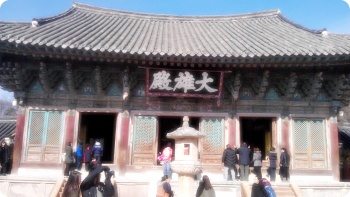 IMAG0411.jpg