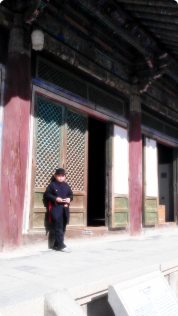 IMAG0416.jpg
