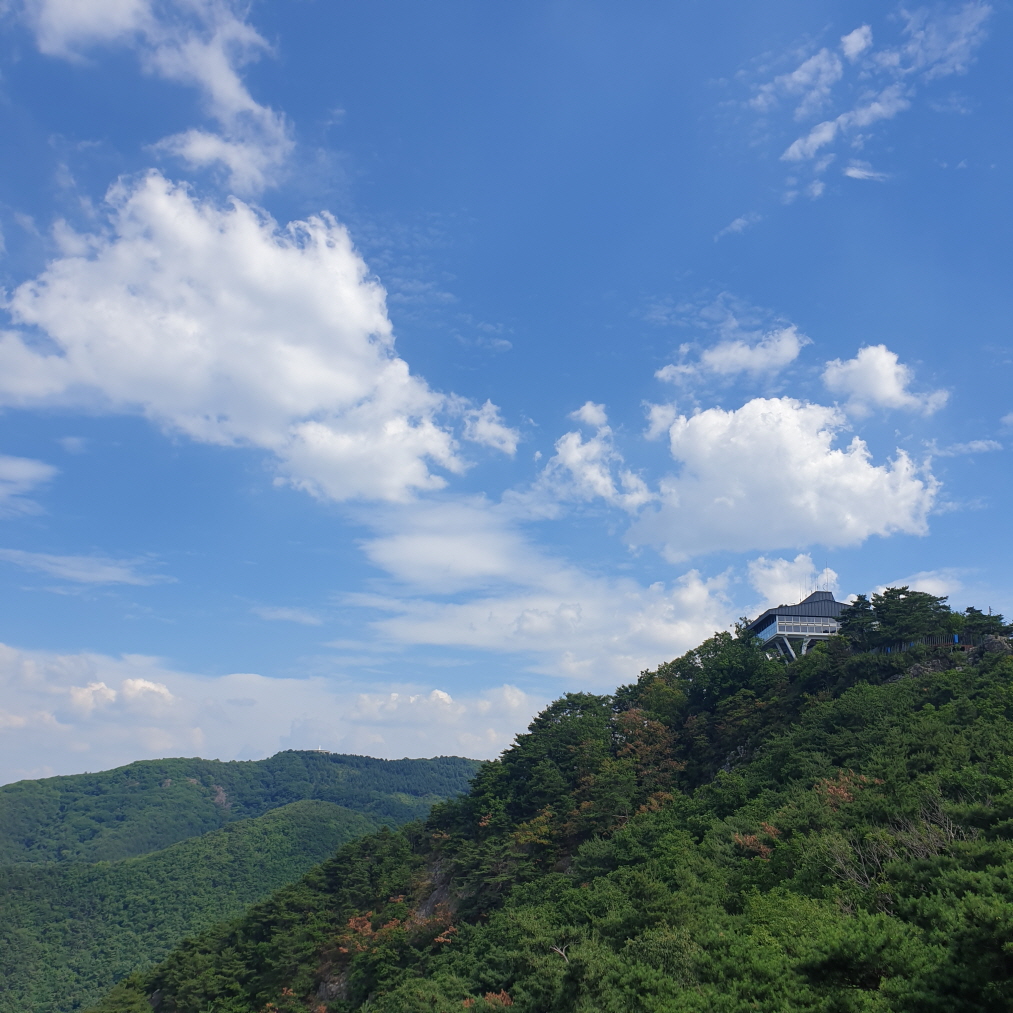 20220702_150911[꾸미기].jpg
