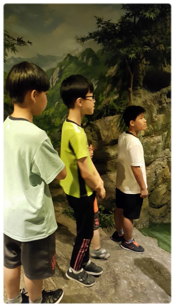 20180627_100722.jpg
