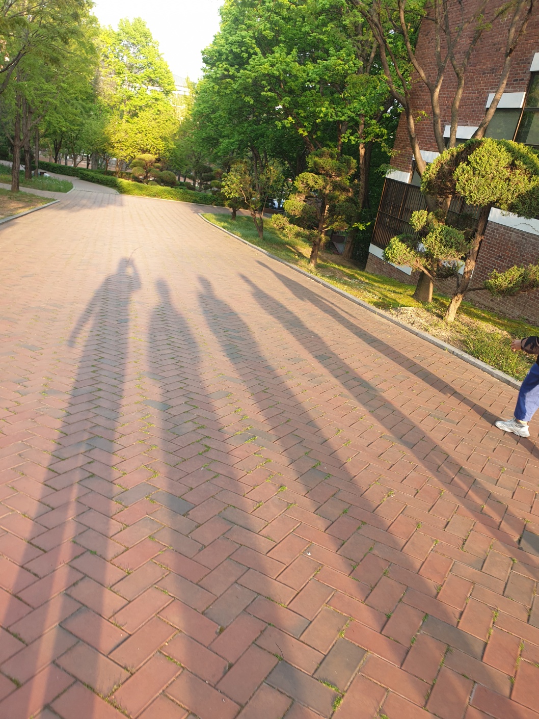 20240413_1.jpg